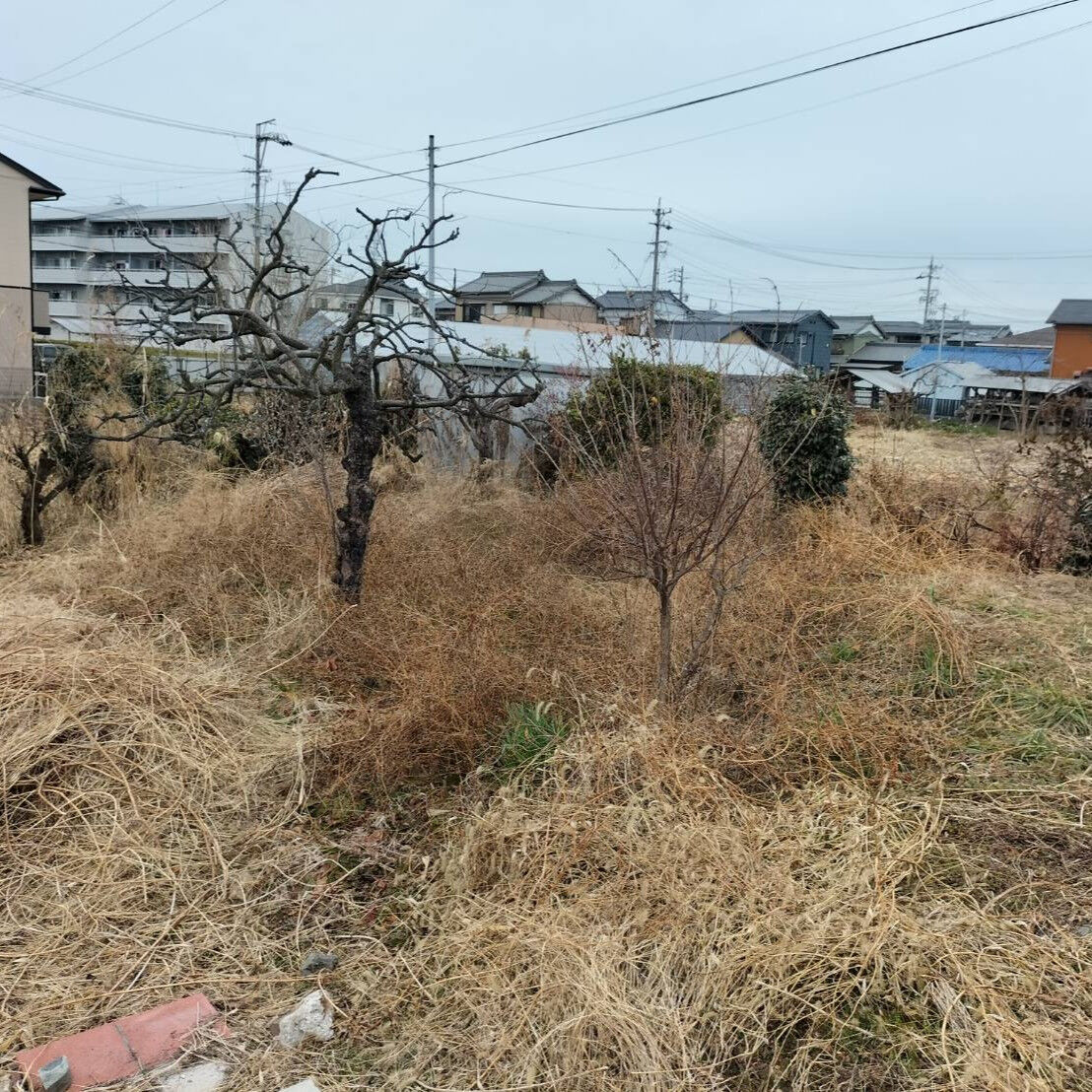 先日、広大な敷地をお持ちのお客様から、草刈りと植栽の剪定に関
