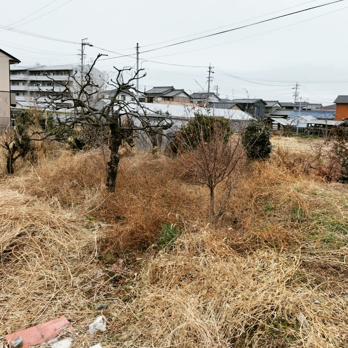 先日、広大な敷地をお持ちのお客様から、草刈りと植栽の剪定に関