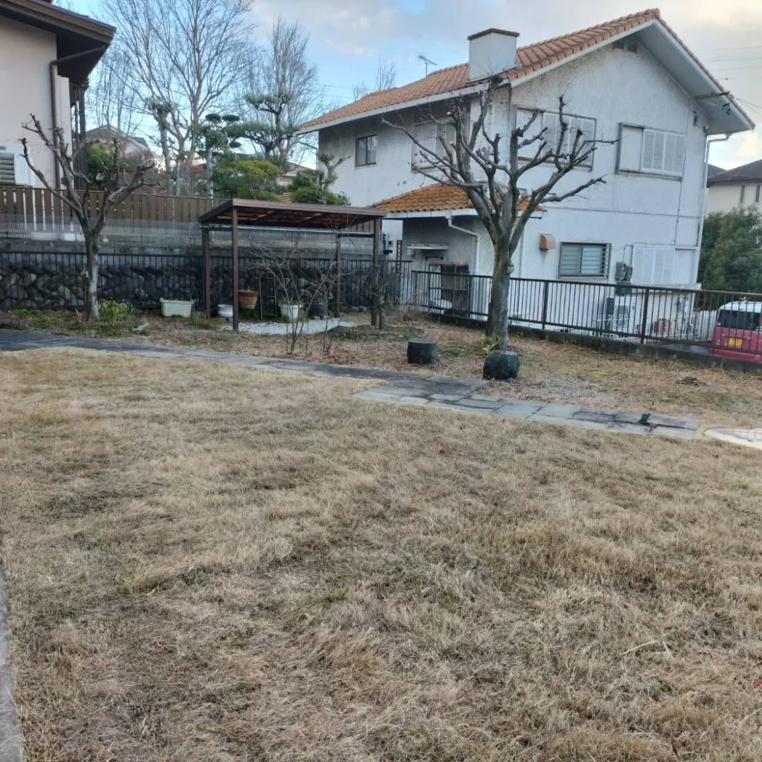今日は伸びきって枯れている芝を適度に刈り、お客様が安全に歩け