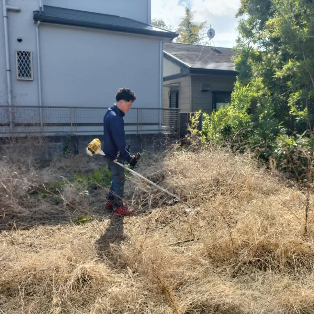 売買用の空き地が草が生えてきて見栄えが悪いのと、何より測量が
