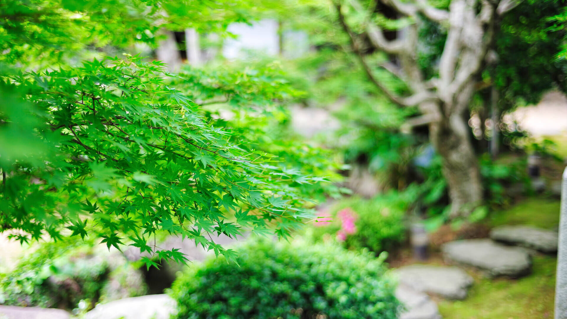 INDEX__cms-44556-image__mainimage03 (1)